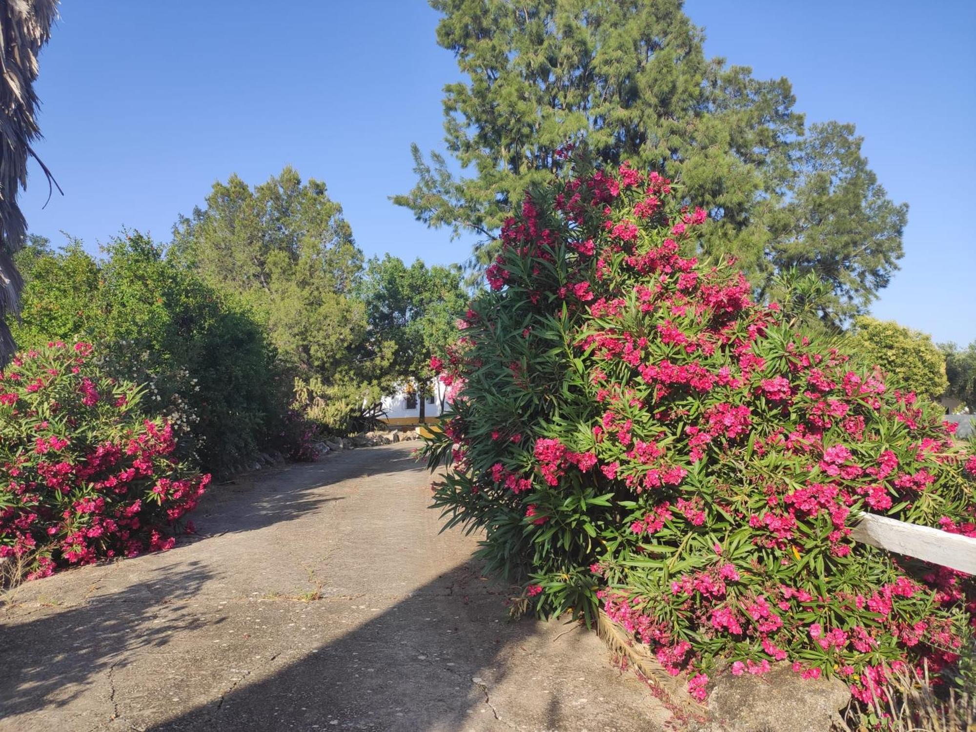 Cortijo El Morisco. Apartment Espera ภายนอก รูปภาพ